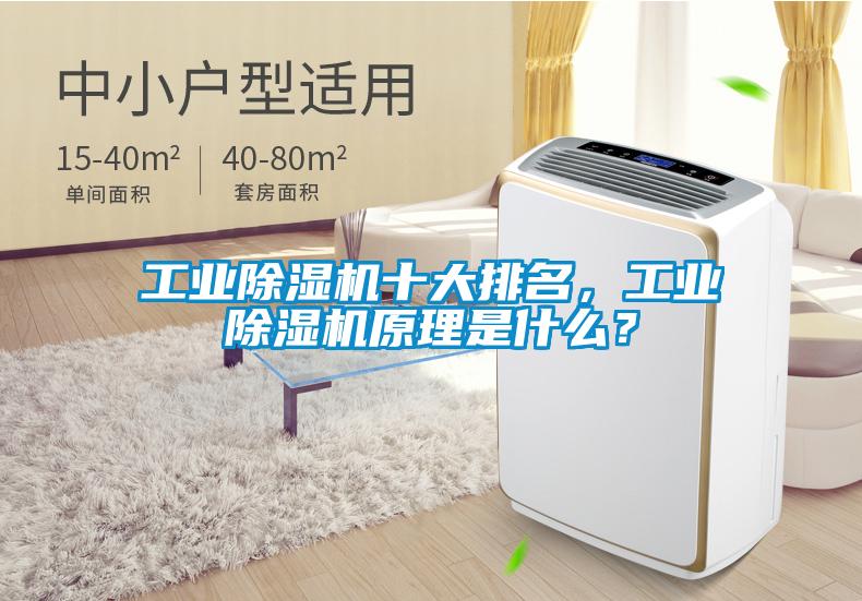 工業(yè)除濕機(jī)十大排名，工業(yè)除濕機(jī)原理是什么？