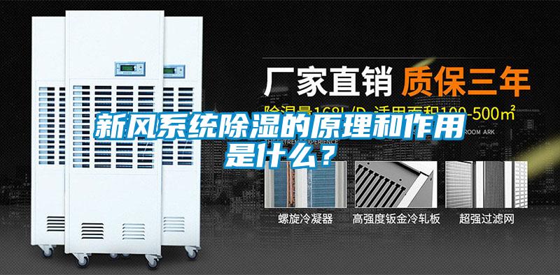 新風(fēng)系統(tǒng)除濕的原理和作用是什么？
