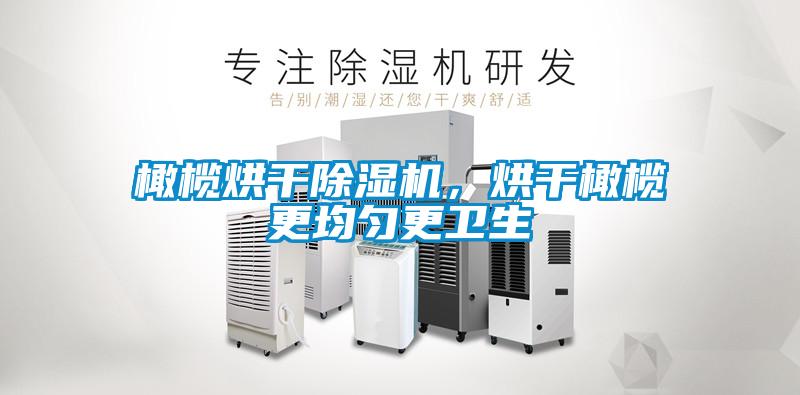 橄欖烘干除濕機，烘干橄欖更均勻更衛(wèi)生