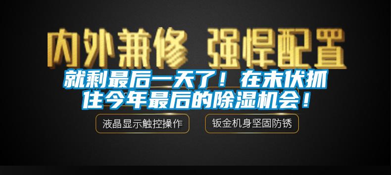 就剩最后一天了！在末伏抓住今年最后的除濕機(jī)會！