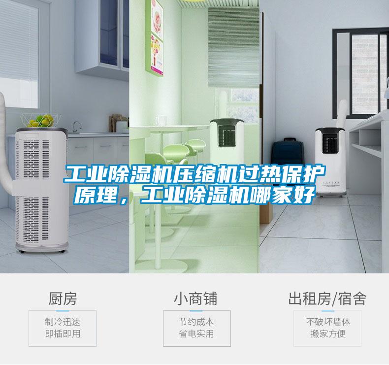 工業(yè)除濕機(jī)壓縮機(jī)過(guò)熱保護(hù)原理，工業(yè)除濕機(jī)哪家好