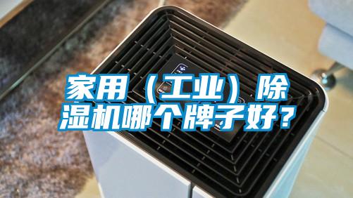 家用（工業(yè)）除濕機(jī)哪個牌子好？