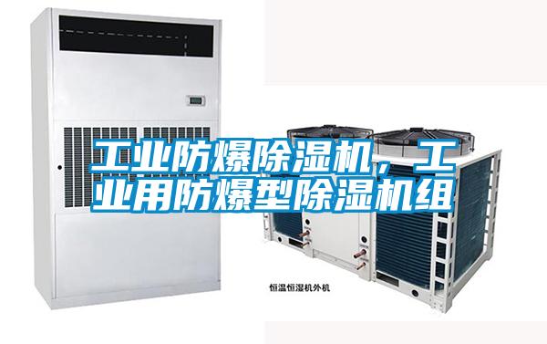 工業(yè)防爆除濕機(jī)，工業(yè)用防爆型除濕機(jī)組