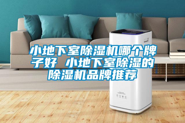 小地下室除濕機(jī)哪個牌子好 小地下室除濕的除濕機(jī)品牌推薦