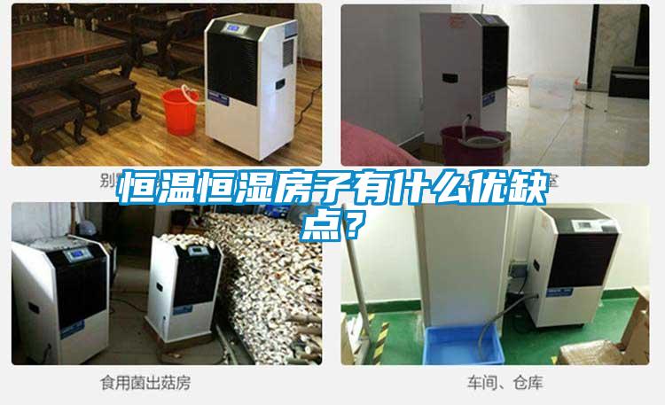 恒溫恒濕房子有什么優(yōu)缺點？