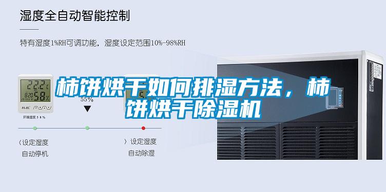 柿餅烘干如何排濕方法，柿餅烘干除濕機
