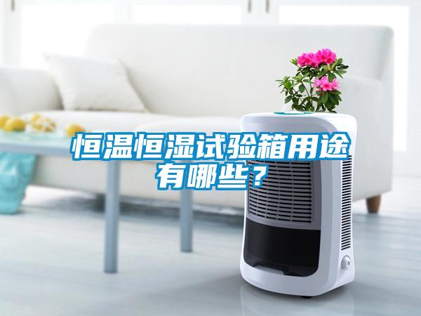 恒溫恒濕試驗(yàn)箱用途有哪些？