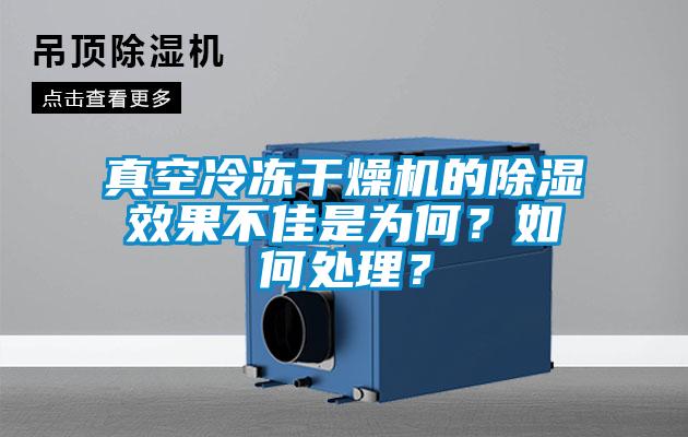 真空冷凍干燥機的除濕效果不佳是為何？如何處理？