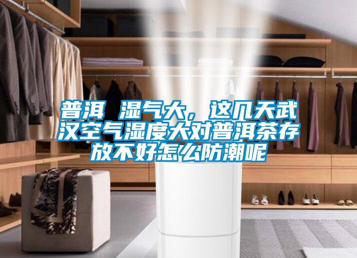 普洱 濕氣大，這幾天武漢空氣濕度大對(duì)普洱茶存放不好怎么防潮呢