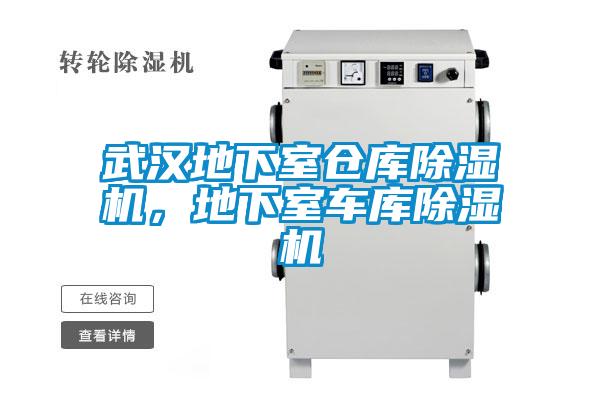 武漢地下室倉(cāng)庫(kù)除濕機(jī)，地下室車庫(kù)除濕機(jī)