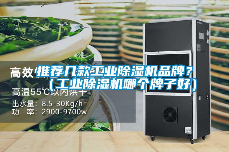 推薦幾款工業(yè)除濕機(jī)品牌？（工業(yè)除濕機(jī)哪個(gè)牌子好）
