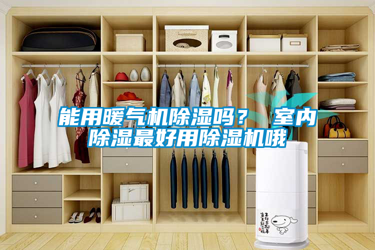 能用暖氣機除濕嗎？ 室內(nèi)除濕最好用除濕機哦