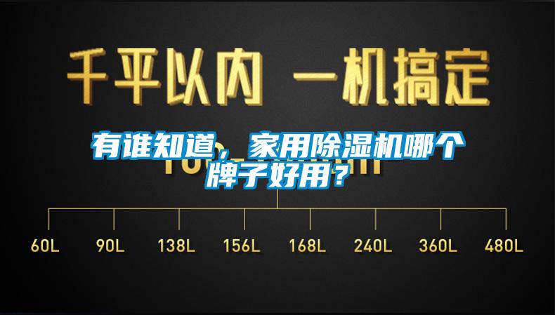有誰知道，家用除濕機哪個牌子好用？