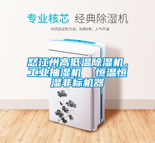 怒江州高低溫除濕機(jī)，工業(yè)抽濕機(jī)  恒溫恒濕非標(biāo)機(jī)器
