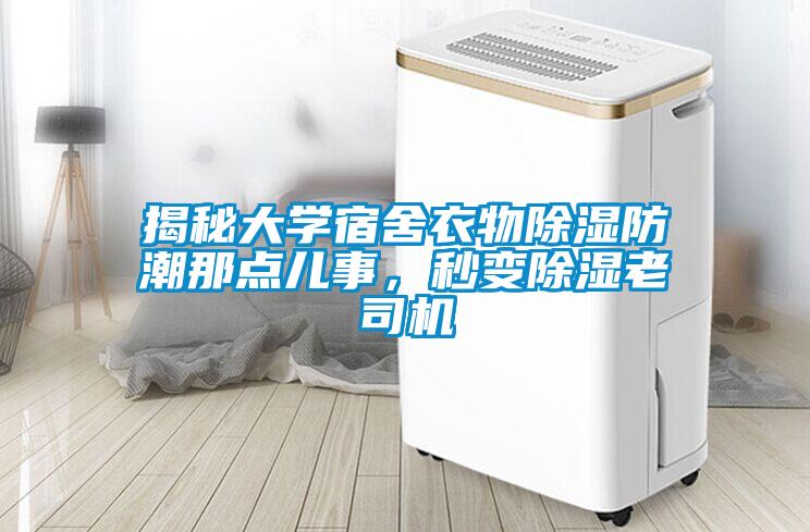 揭秘大學(xué)宿舍衣物除濕防潮那點兒事，秒變除濕老司機