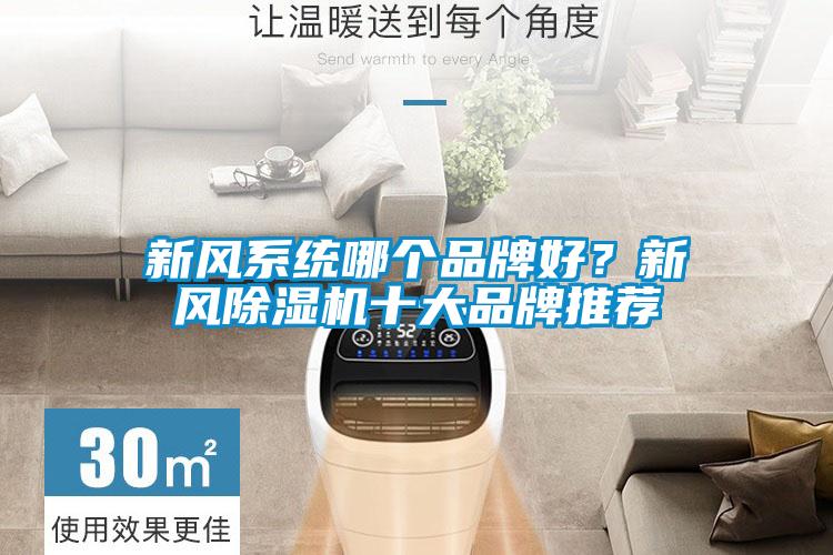 新風系統(tǒng)哪個品牌好？新風除濕機十大品牌推薦