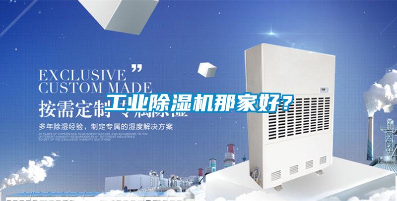 工業(yè)除濕機(jī)那家好？