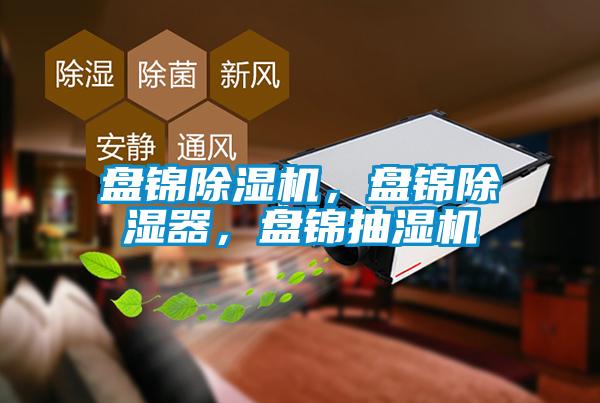盤(pán)錦除濕機(jī)，盤(pán)錦除濕器，盤(pán)錦抽濕機(jī)