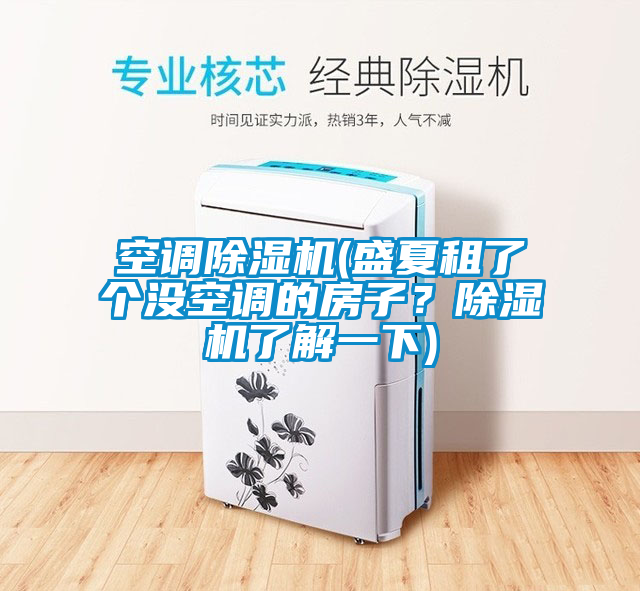 空調(diào)除濕機(盛夏租了個沒空調(diào)的房子？除濕機了解一下)