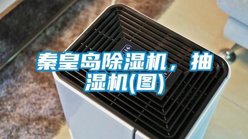 秦皇島除濕機，抽濕機(圖)