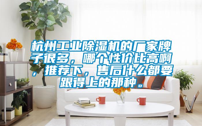 杭州工業(yè)除濕機(jī)的廠家牌子很多，哪個(gè)性價(jià)比高啊，推薦下，售后什么都要跟得上的那種。