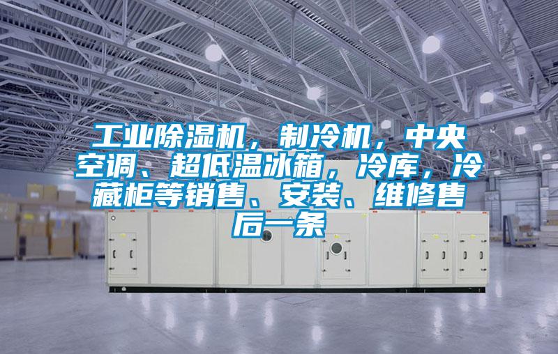 工業(yè)除濕機(jī)，制冷機(jī)，中央空調(diào)、超低溫冰箱，冷庫，冷藏柜等銷售、安裝、維修售后一條