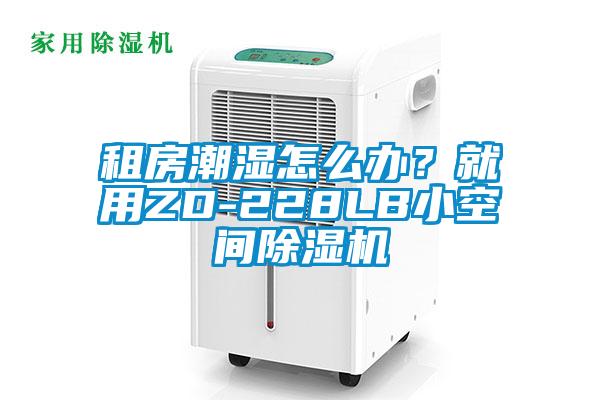 租房潮濕怎么辦？就用ZD-228LB小空間除濕機(jī)