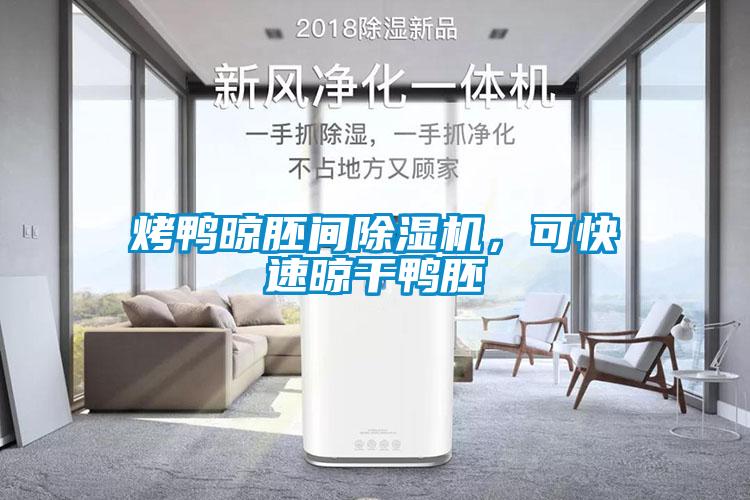 烤鴨晾胚間除濕機，可快速晾干鴨胚