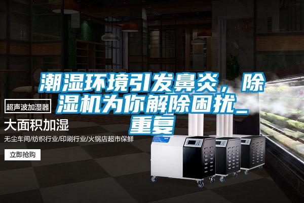 潮濕環(huán)境引發(fā)鼻炎，除濕機(jī)為你解除困擾_重復(fù)
