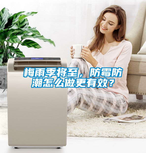 梅雨季將至，防霉防潮怎么做更有效？