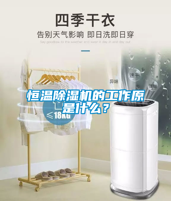 恒溫除濕機(jī)的工作原是什么？