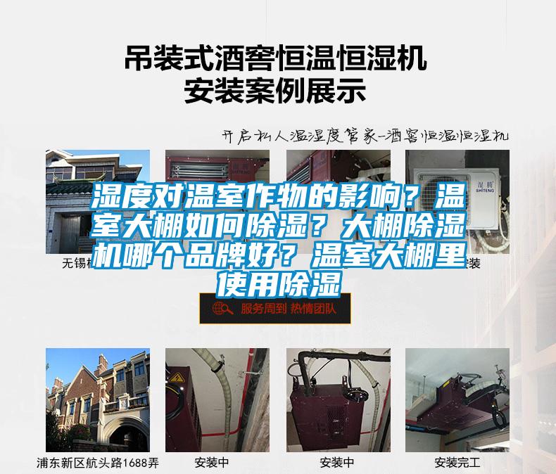 濕度對溫室作物的影響？溫室大棚如何除濕？大棚除濕機哪個品牌好？溫室大棚里使用除濕