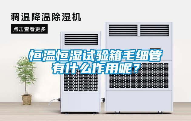 恒溫恒濕試驗(yàn)箱毛細(xì)管有什么作用呢？