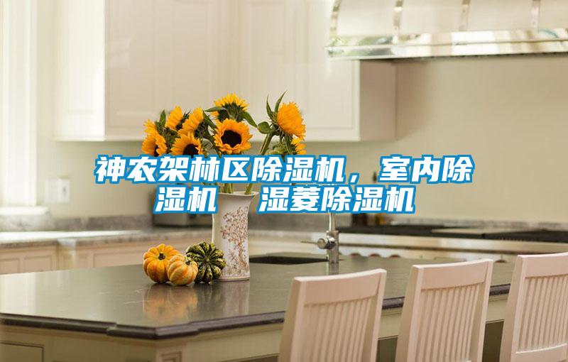 神農(nóng)架林區(qū)除濕機(jī)，室內(nèi)除濕機(jī)  濕菱除濕機(jī)
