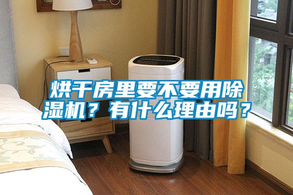 烘干房里要不要用除濕機？有什么理由嗎？
