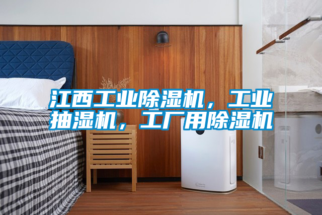 江西工業(yè)除濕機(jī)，工業(yè)抽濕機(jī)，工廠用除濕機(jī)