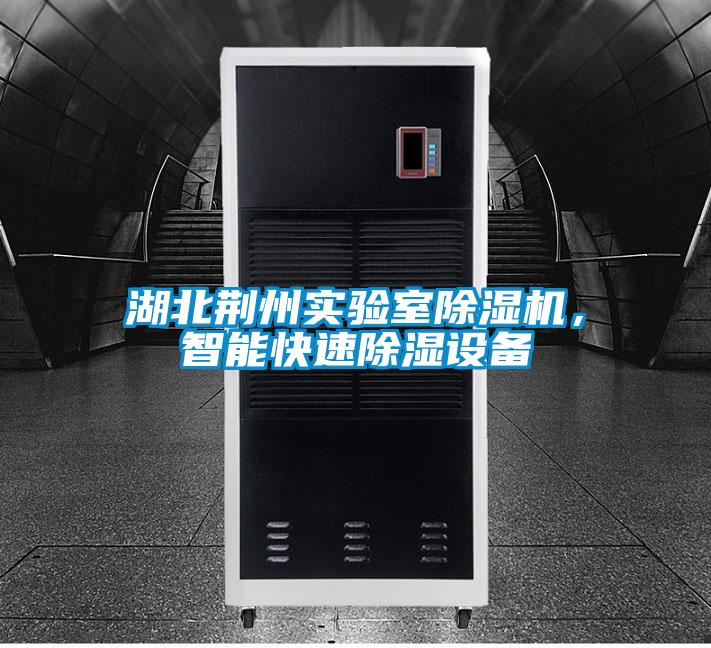 湖北荊州實驗室除濕機，智能快速除濕設(shè)備