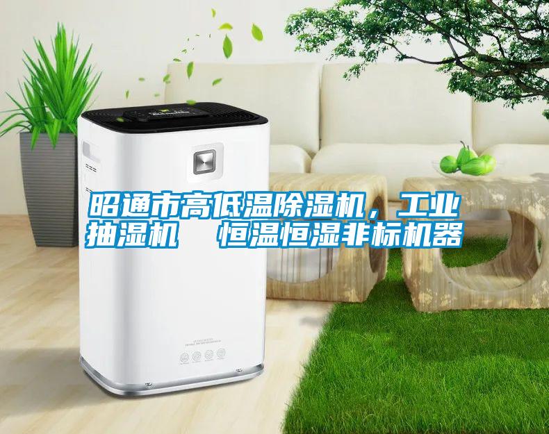 昭通市高低溫除濕機，工業(yè)抽濕機  恒溫恒濕非標機器