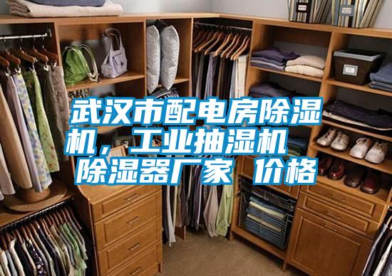 武漢市配電房除濕機(jī)，工業(yè)抽濕機(jī)  除濕器廠家 價(jià)格