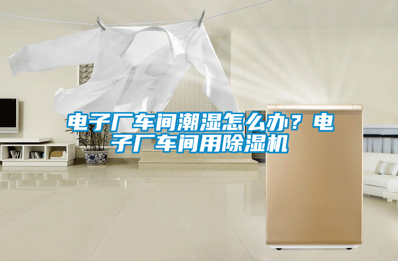 電子廠車間潮濕怎么辦？電子廠車間用除濕機