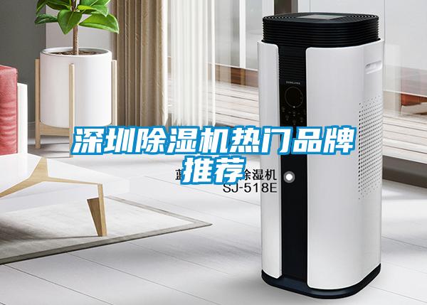 深圳除濕機(jī)熱門(mén)品牌推薦