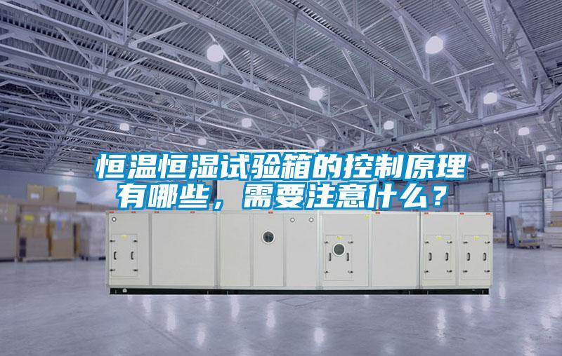 恒溫恒濕試驗(yàn)箱的控制原理有哪些，需要注意什么？