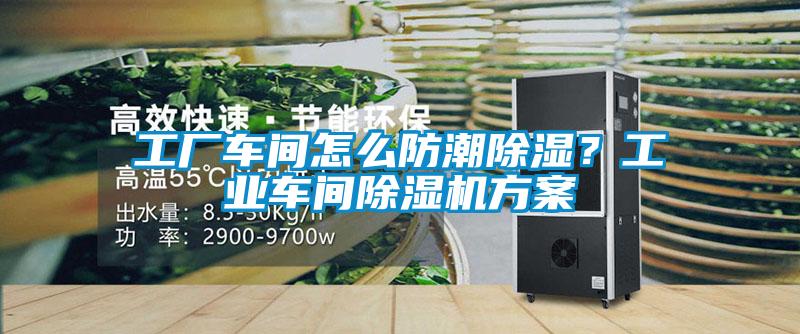工廠車間怎么防潮除濕？工業(yè)車間除濕機(jī)方案