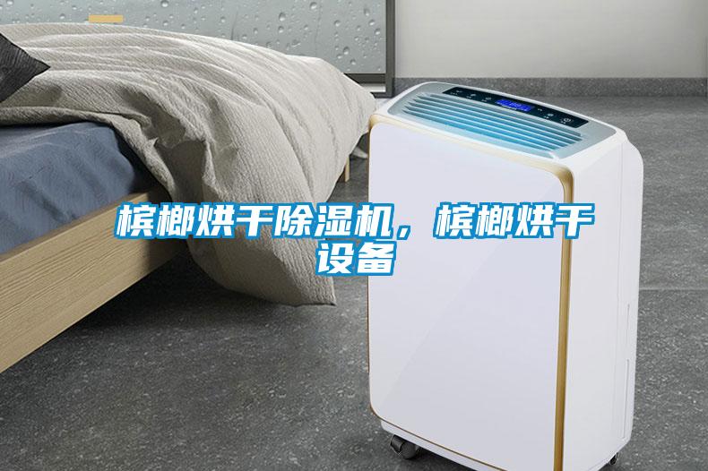 檳榔烘干除濕機(jī)，檳榔烘干設(shè)備