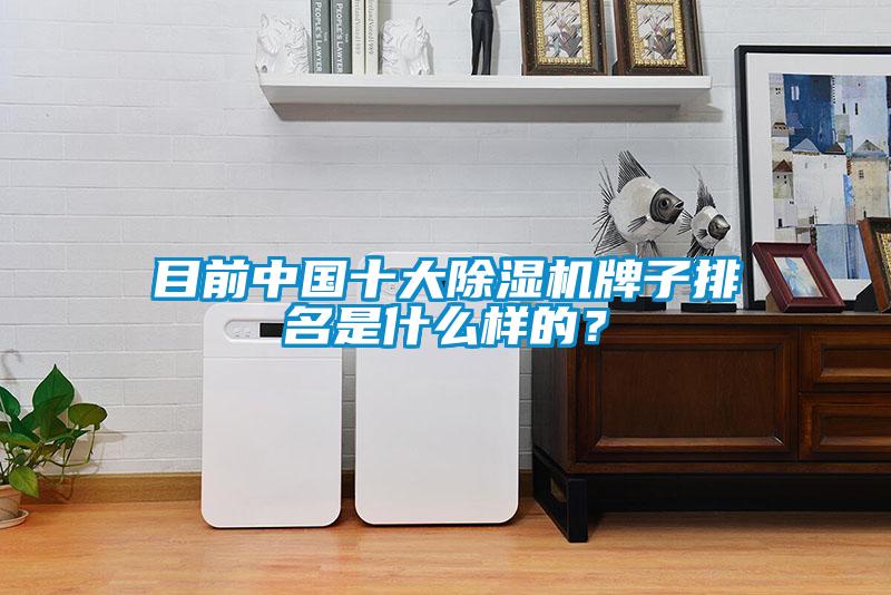目前中國(guó)十大除濕機(jī)牌子排名是什么樣的？