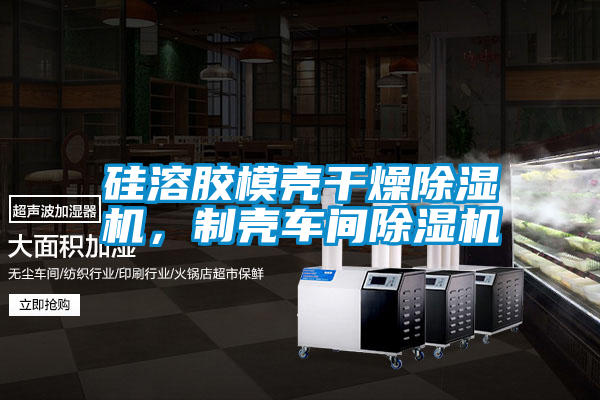 硅溶膠模殼干燥除濕機(jī)，制殼車間除濕機(jī)
