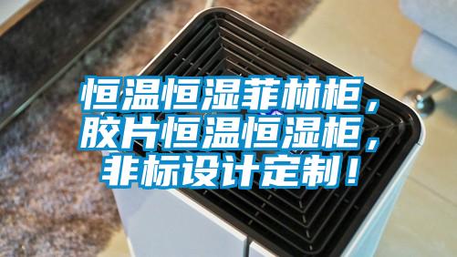 恒溫恒濕菲林柜，膠片恒溫恒濕柜，非標設計定制！