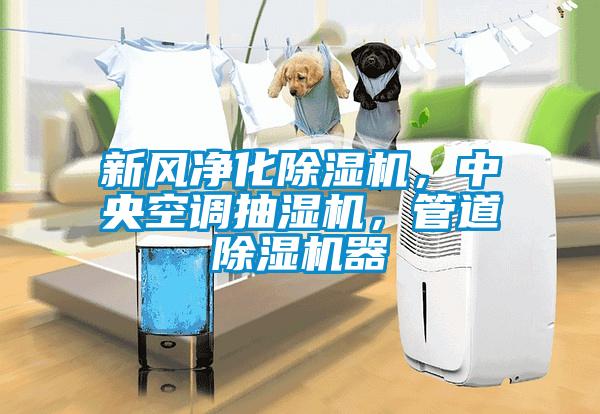 新風(fēng)凈化除濕機，中央空調(diào)抽濕機，管道除濕機器