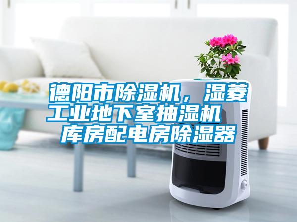 德陽(yáng)市除濕機(jī)，濕菱工業(yè)地下室抽濕機(jī)  庫(kù)房配電房除濕器