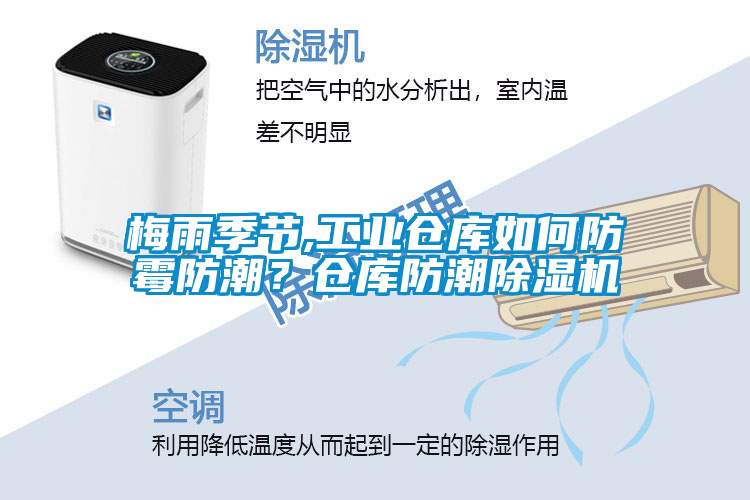 梅雨季節(jié),工業(yè)倉庫如何防霉防潮？倉庫防潮除濕機